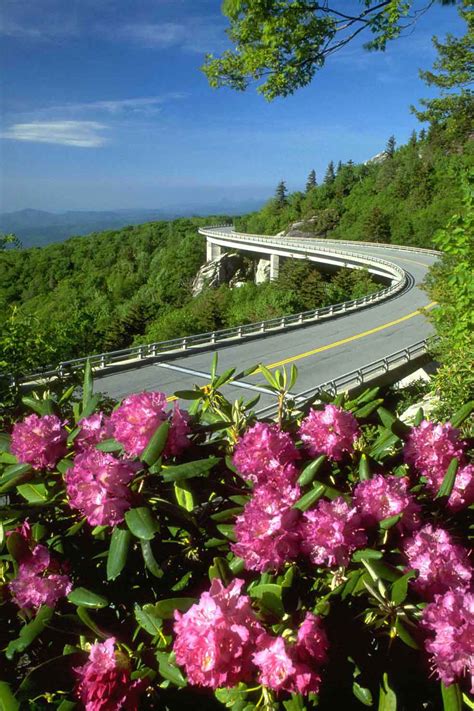 Rhododendrons Blanket The Blue Ridge Parkway Garden Destinations Magazine