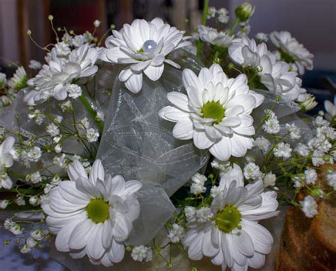 My official entry during the 2011 a.c.e. Theme: Gardening Archives - Kids Activities