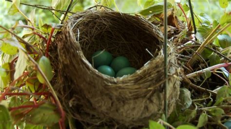 The Empty Nest Syndrome Is Not Just An Emotional Response Huffpost