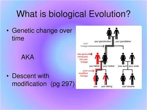 What Is Biological Evolution Ppt Download