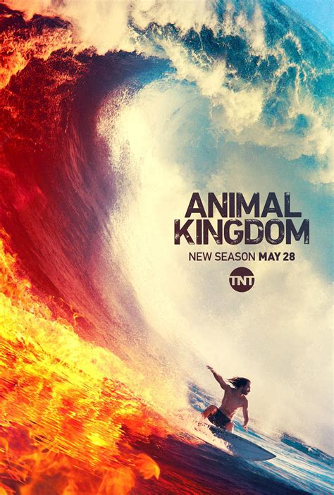 Season 4 Animal Kingdom Animalxc