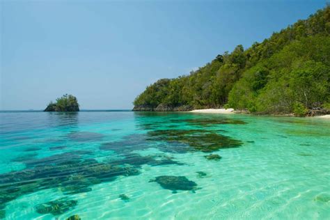 misool island raja ampat biodiversity eco resort