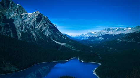 Peyto Lake Wallpaper 4k Banff National Park Canada