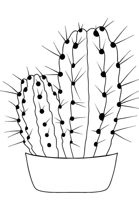 Planse De Colorat Cu Cactus Desene De Colorat
