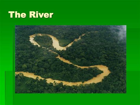 Ppt The Amazon Basin Powerpoint Presentation Free Download Id4331432