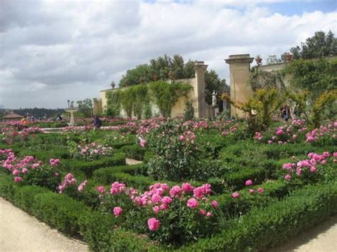 Rose Gardens Of The Pitti Palace San Gimignano Italy Formal