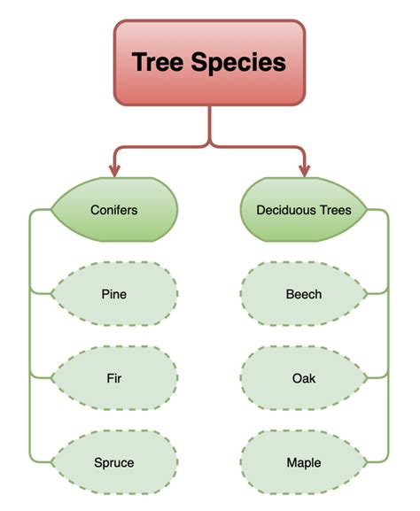 Training Exercise 5 Create A Tree Diagram