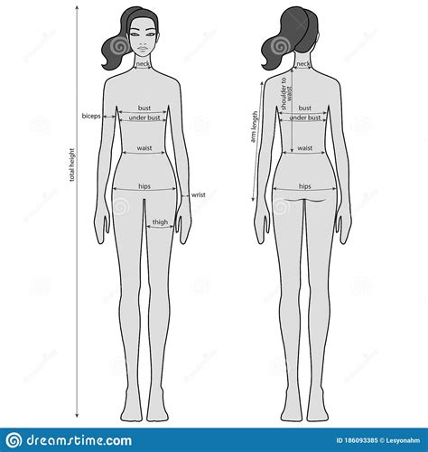 Woman Body Measurement Chart Female Figure Front And Back Views Vector Stock Vector