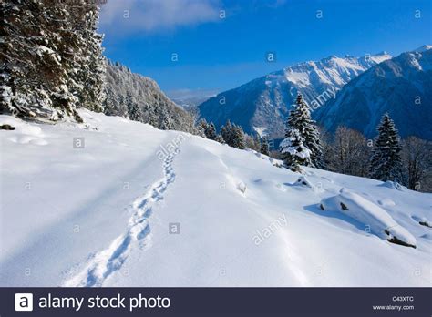 This is a big, beautiful climb with plenty of road graffiti from. Klausenpass, Uri, Switzerland, Europe, canton Glarus ...