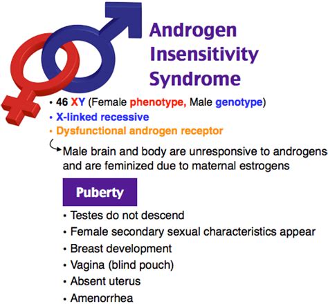 Androgen Insensitivity Syndrome Testicular Femininization School