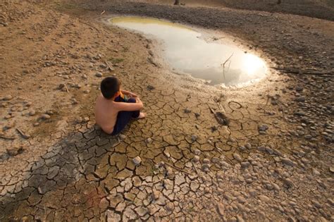 See more ideas about cleaning, household hacks, cleaning hacks. Heat Waves, Droughts and Heavy Rain Have Clear Links to ...