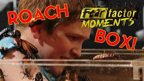 Fear Factor Moments Family Of Roaches YouTube