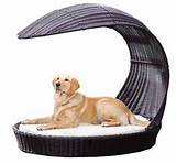 Images of Luxury Beds For Dogs