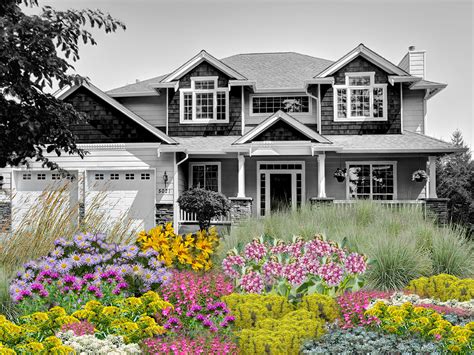 The Beginners Guide To Xeriscaping In Denver 5280
