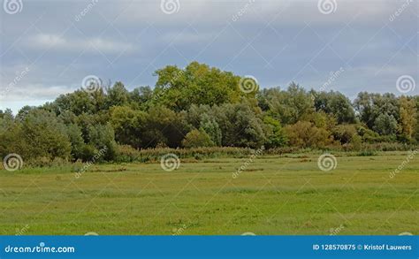 Green Meadows With Trees And Shrubs In Autumn Colors On A Cloudy In The