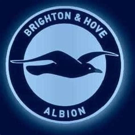 Update this logo / details. Brighton and Hove Albion - Swooping for Success - FM ...