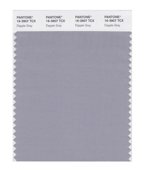 Pantone Smart Color Swatch Card 16 3907 Tcx Dapple Gray Columbia Omni