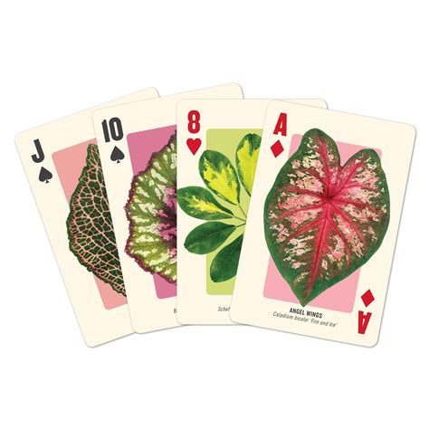 Houseplant jungle 1000 piece puzzle from galison is a lush and verdant puzzle from designer and photographer troy litten that celebrates the beauty and diversity of he also has the good fortune to be born with a green thumb! Pin on Hobbies