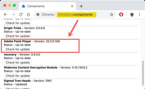 Flash player + saves favorite flashes and play them later. How to Fix Flash Errors in Google Chrome? » WebNots