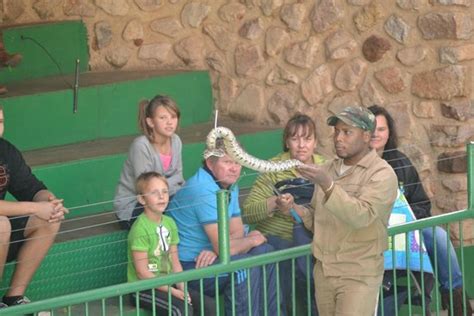 Kids On Boat Picture Of Hartbeespoort Dam Snake And Animal Park