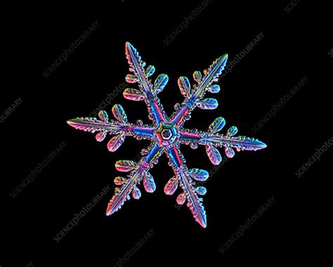 Snowflake Light Micrograph Stock Image C0232419 Science Photo