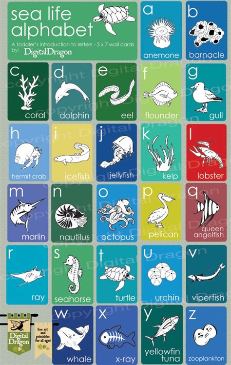Items Similar To Sea Life Alphabet 5x7 Cards On Etsy