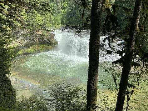 Photos Of Lewis River Falls Trail Washington Alltrails