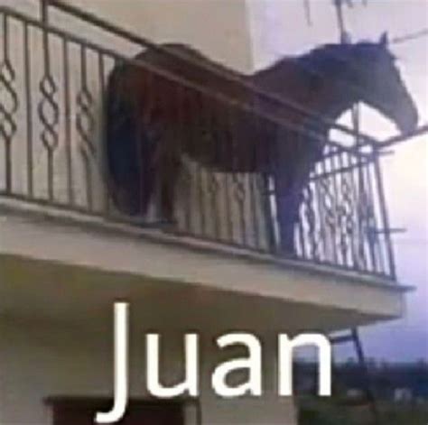 Juan Meme Music Used