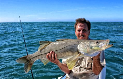 December 2017 Baja Fishing Report