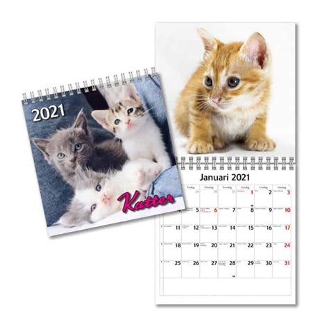 Väggkalender Katter Mini 2021 Bilder På Söta Kattungar Köp Online