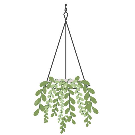 Top 42 Imagen Hanging Plants Transparent Background Thpthoangvanthu