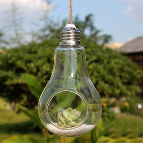 Hanging Glass Bulb Terrarium Plant Container In 2021 Hanging Glass