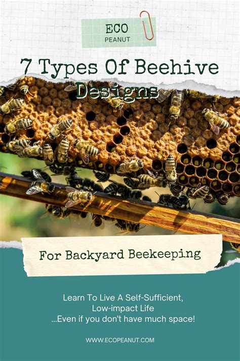 The 7 Different Types Of Beehives For Your Backyard Beehive Design