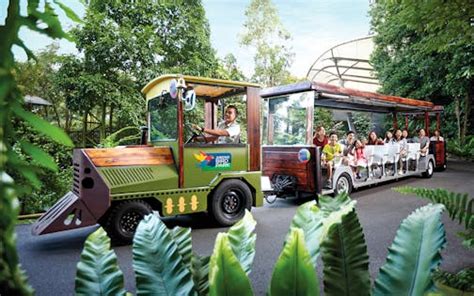 Book Night Safari Singapore Tickets 2022 Up To 20 Off Headout