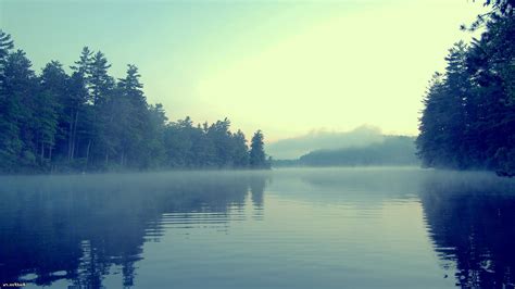 Wallpaper 2560x1440 Px Forest Lake Mist 2560x1440 Coolwallpapers