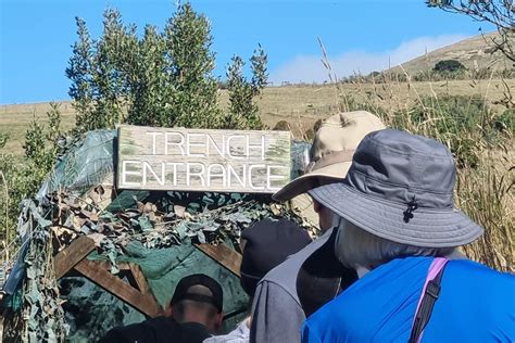 Dunedin City Highlights & Larnach Castle Tour - Klook United Kingdom