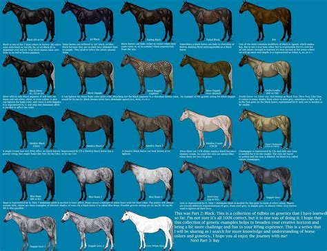 Black Color Genetics Chart By Magicwindsstables On Deviantart With