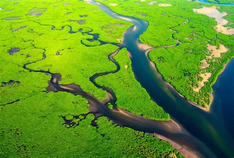 River Deltas Are Threatened By Human Activities