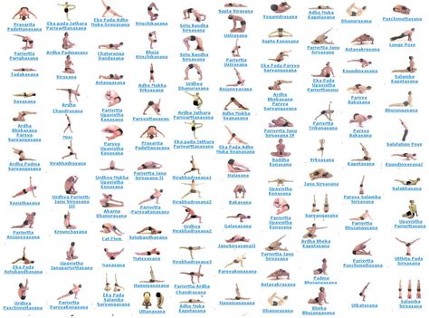 The author also highlights some of the basic types of yoga. » 2014 » June » 21 tennis, life and a few sports in between