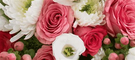 At flowers direct, we offer a premium selection of floral merchandise to several select industries. Wholesale Flowers | JR Roses