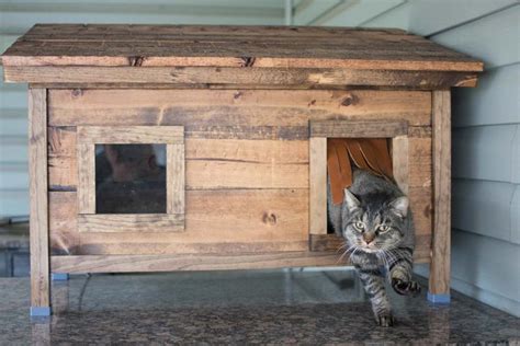 How To Build A Diy Outdoor Cat House Guide With Pictures Cluttter