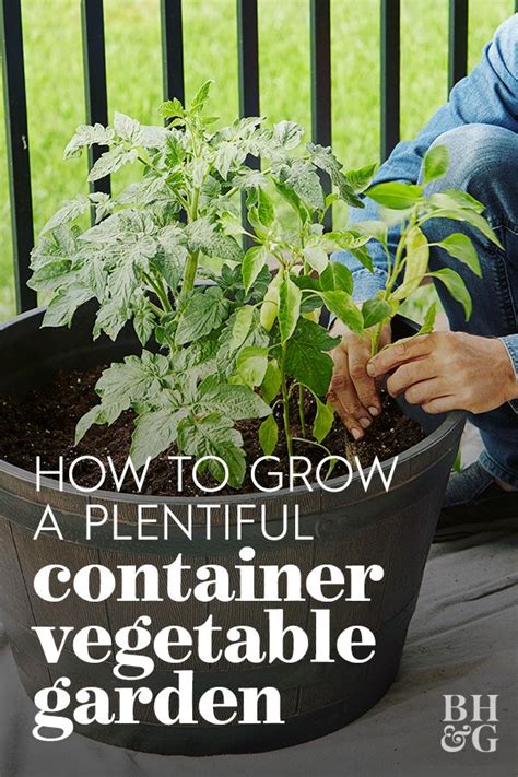 Heres How To Grow A Plentiful Vegetable Garden In A Container