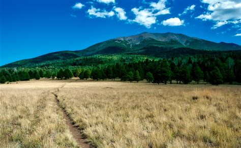 Free Images Landscape Nature Forest Path Wilderness Sky Trail