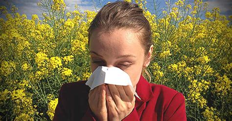What People Need To Know About Allergies
