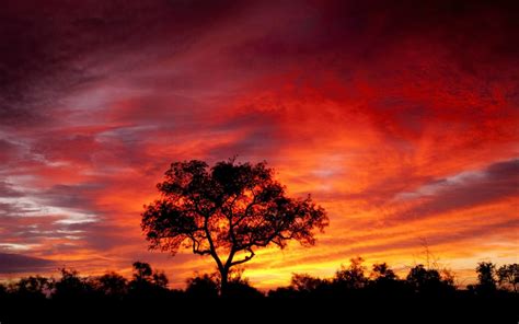 South Africa Savna Sky With Red Cloud Eclipse Sunset Desktop Wallpaper ...