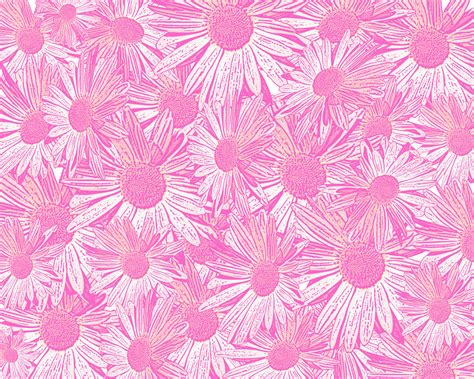 Pink Daisy Wallpaper Pictures