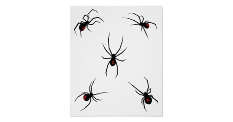 Black Widow Spiders Poster Zazzle