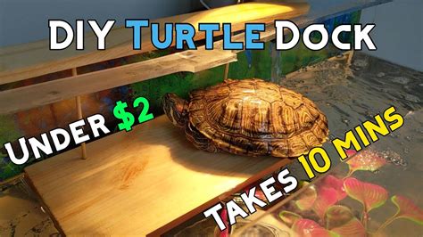 I than went to home depot and bought plexi glass. HOW TO BUILD DIY TURTLE BASKING DOCK! - YouTube