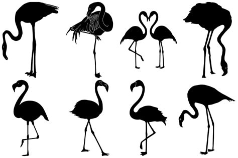 Flamingo Vector And Silhouettes Ai Eps Png 273263 Illustrations