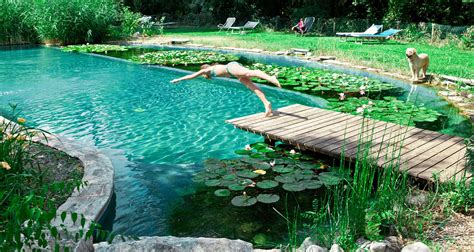 Imagini Pentru Piscina Biologica Natural Swimming Ponds Natural Pond